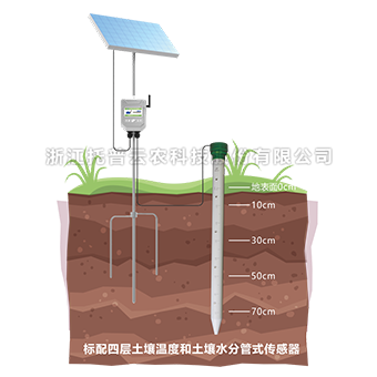 污芭乐成人管式剖面水分仪 TPGSQ-4