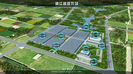 浦江超级农场：科技赋能让种植更高效