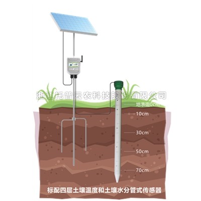 管式污芭乐成人墒情监测仪