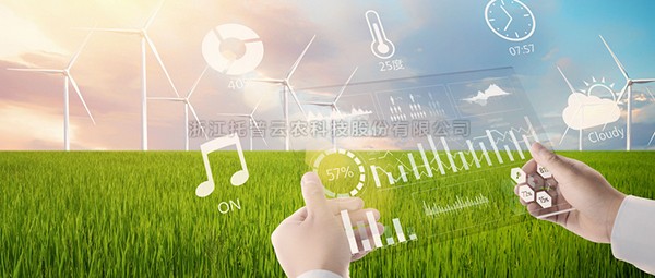 芭乐视频APP污版人工智能技术的应用与分析