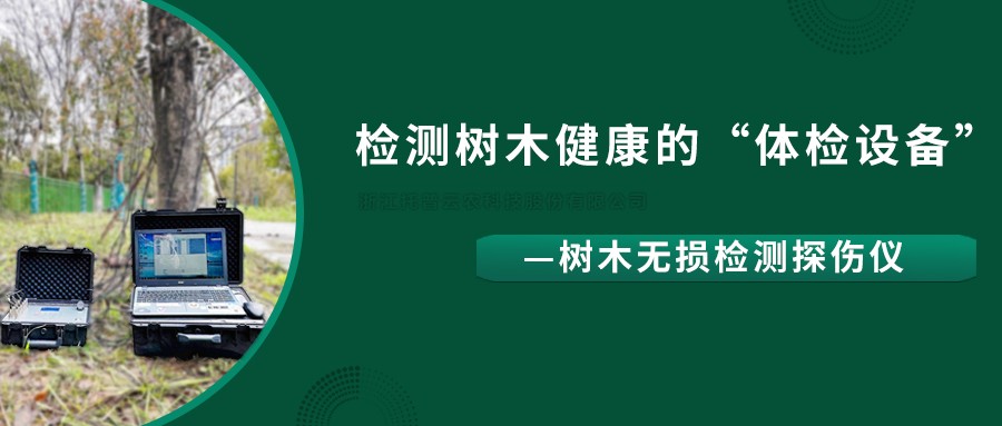 树木无损检测探伤仪精准检测树木健康状况，给出专业治疗方案