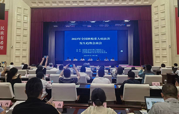 喜报！经现场公开测试，芭乐视频APP污版智能虫情测报灯图像识别准确率达97.2%！