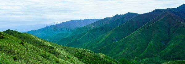 智慧护林有妙招，看太子山如何用科技守护森林