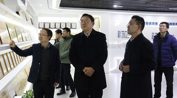 湘湖实验室常务副主任杨华一行莅临芭乐视频APP污版考察调研