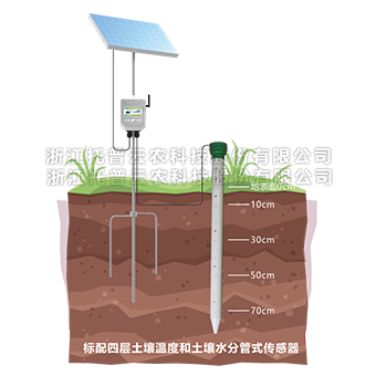 管式污芭乐成人墒情监测仪详细介绍