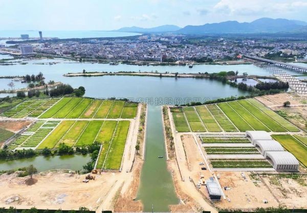 为盐碱地安上“技术芯片”，芭乐视频APP污版打造耐盐碱水稻科研试验基地建设解决方案