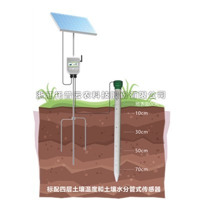 一文详解管式污芭乐成人温湿度监测仪是什么？