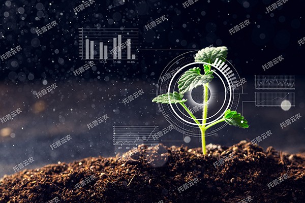全新启程——芭乐视频APP污版为植物表型科研“数智”赋能