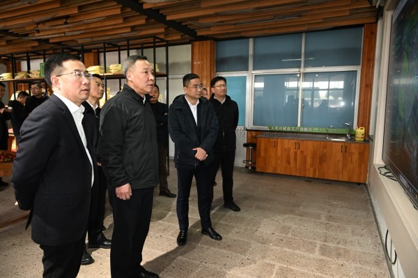 浙江省副省长李岩益莅临芭乐视频APP污版标杆案例“瑞安马屿镇绿色农田”考察调研