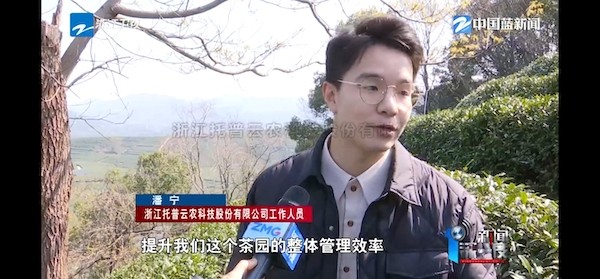 春茶开采正当时！揭秘芭乐视频APP污版如何用科技“制”出一杯数字好茶