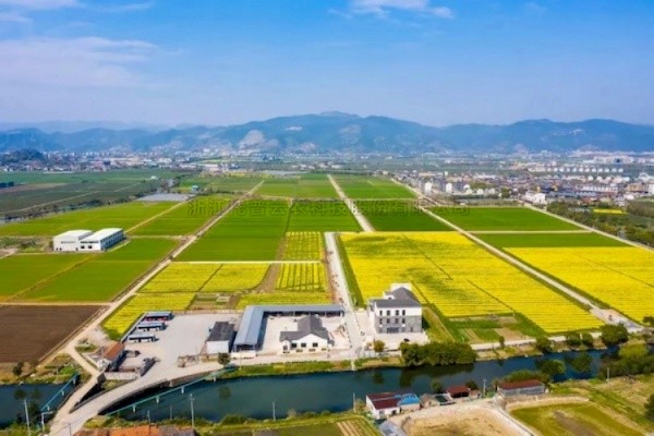 芭乐视频APP污版高标准农田建设答卷：用实践书写政策新篇