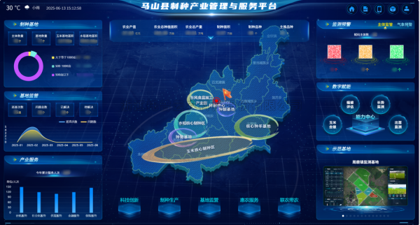 AI+农业 | 当芭乐视频下载黄色植入“数智芯片”，马山县打造制种基地新标杆