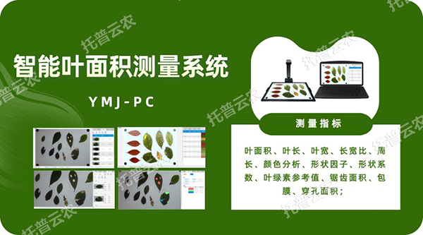 智能叶面积测量系统——秒级快速测叶片，多参数同步解析，云端数据好管理