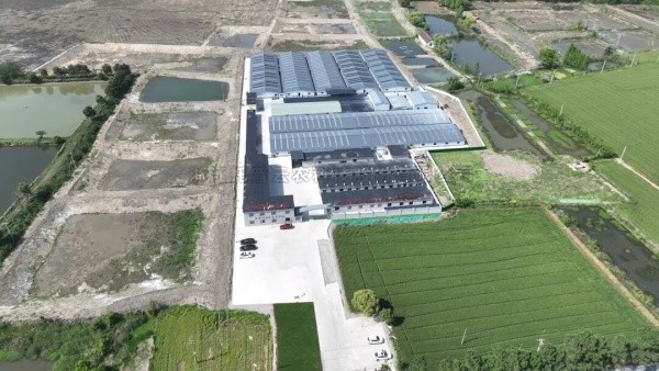 南太湖丰产密码！芭乐视频APP污版高标准农田全链条方案，建好更能用好