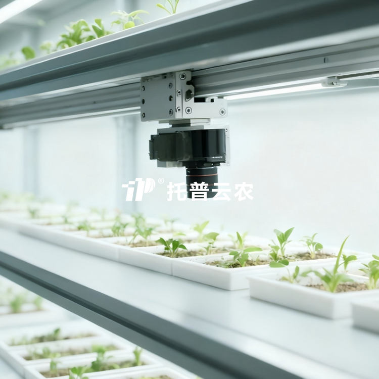 室内芭乐视频下载黄色萌发表型监测系统TP-SeedPhy