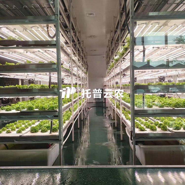 植物组培室/