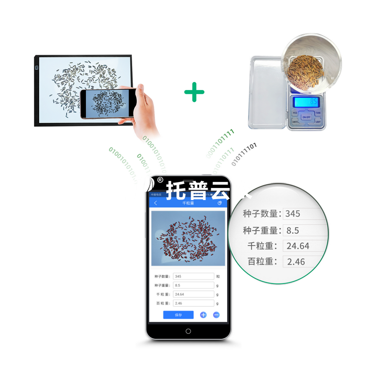 千粒重仪V2.0