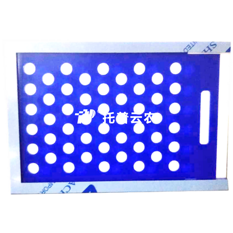 大粒芭乐视频下载黄色置床板SZ-3
