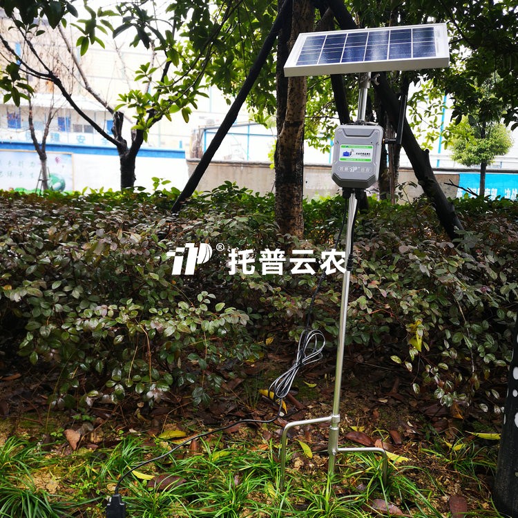 在线污芭乐成人水分温度盐分测定仪TPFS-WSY系列