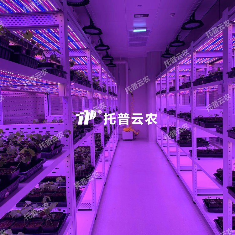 培养架型人工气候室介绍|培养架型人工气候室核心亮点有哪些？