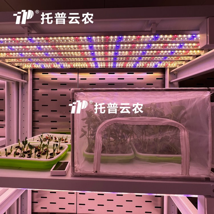 顶置光源人工气候室是什么？