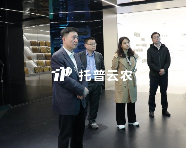 农业农村部大数据发展中心主任韩旭一行莅临芭乐视频APP污版调研交流