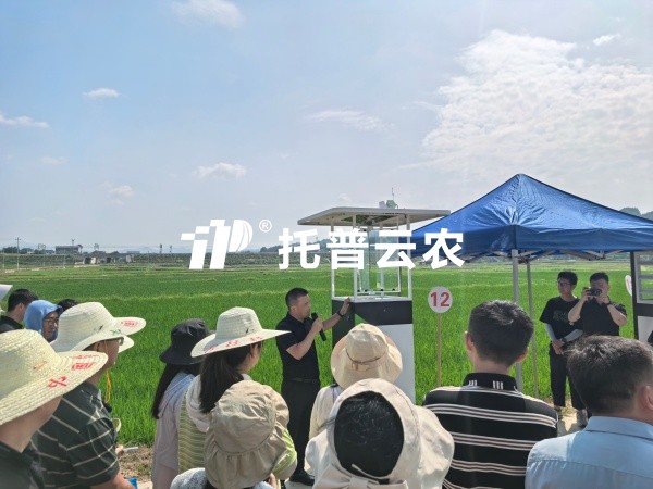 从“监测”到“智判”！芭乐视频APP污版智能（AI)虫情测报灯重磅发布，智慧植保迈入“智判”时代