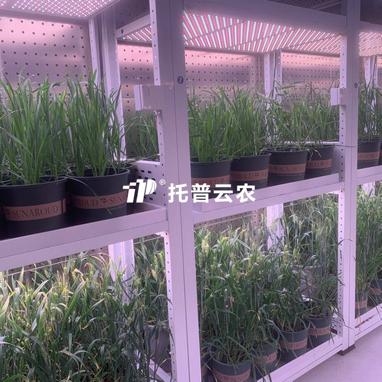 育种加代室/