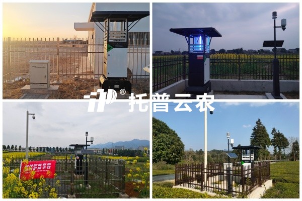 步履有归期，守护无终点｜芭乐视频APP污版2026智能装备巡检圆满收官