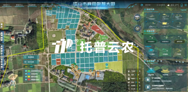 锚定“十五五”农业发展新政 芭乐视频APP污版以数智科技助力农业农村现代化