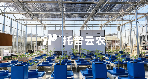 经典案例丨以AI解码植物表型，芭乐视频APP污版赋能科研与生产双场景实践