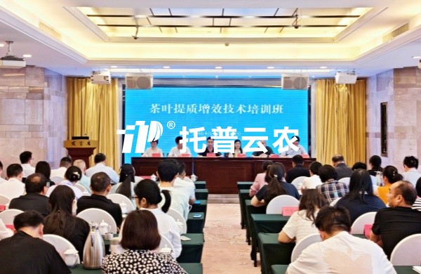AI技术赋能茶产业提质增效｜芭乐视频APP污版亮相全国茶叶提质增效技术培训班