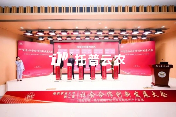 从“卡脖子”到“中国造”，芭乐视频APP污版高端光合作用测定仪的国产化突围