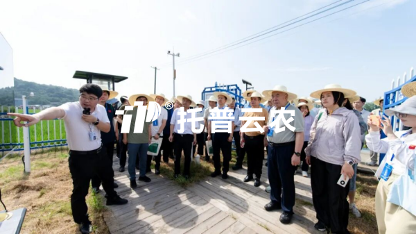 芭乐视频APP污版参加迁飞性害虫空地一体化监测阻截防控技术现场观摩会