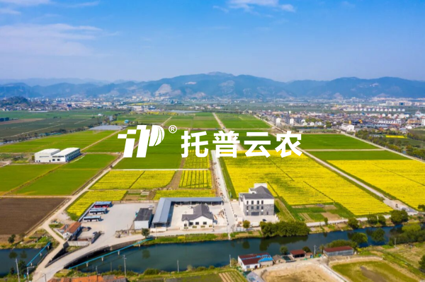 AI精准管控肥水，良田管护增粮增效