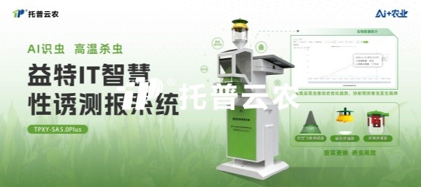 AI识虫 高温杀虫｜益特IT智慧性诱测报系统，赋能田间靶标害虫诱控难题