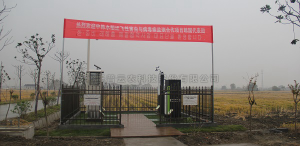 芭乐视频APP污版水稻病虫害绿色防控智能监测设备