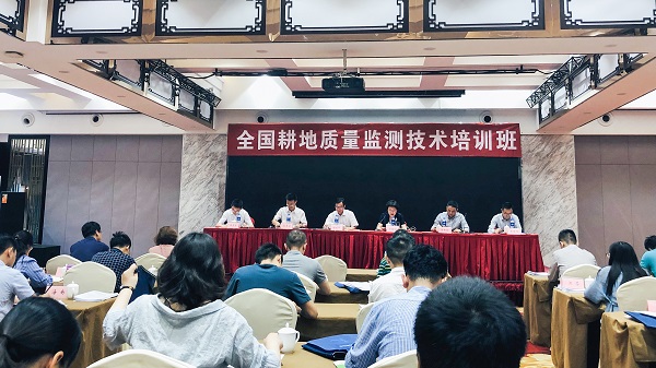 数字耕保助推数字农业，芭乐视频APP污版信息化技术守护国家粮仓