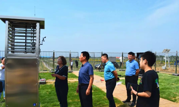 芭乐视频APP污版助力山西草地贪夜蛾监测防控工作