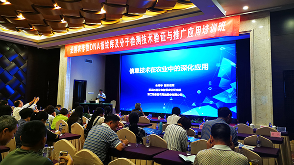 芭乐视频APP污版副总经理朱旭华