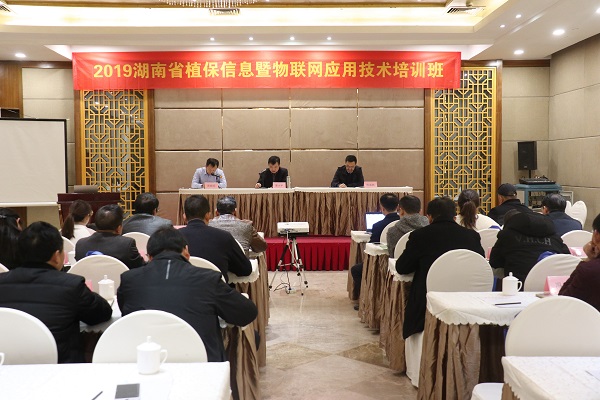 芭乐视频APP污版服务湖南省植保信息技术培训班在杭开班