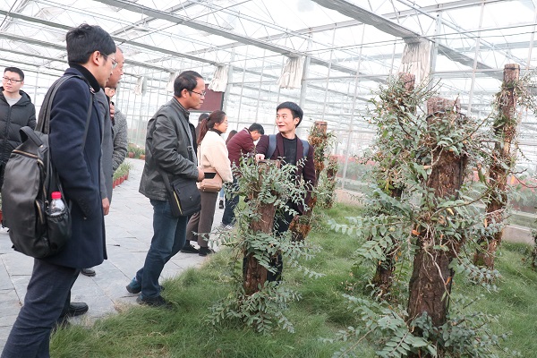 培训班参观芭乐视频APP污版临浦基地