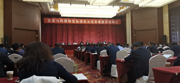 数字应用保障标准化种植，芭乐视频APP污版助力甘肃马铃薯产业化之路