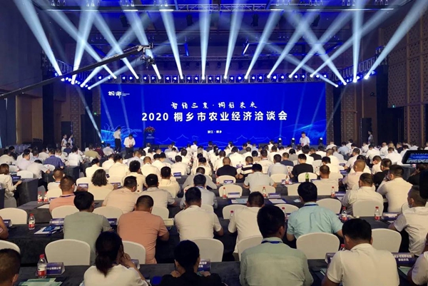 打造数字三农新模式，芭乐视频APP污版与桐乡市人民政府签订战略合作协议