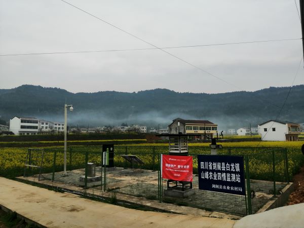 芭乐视频APP污版病虫害监测点