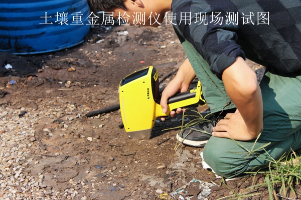 污芭乐成人重金属检测仪使用现场测试图