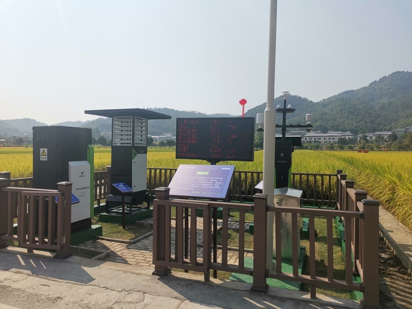 与会专家领导参观芭乐视频APP污版支撑构建的智慧种业服务平台