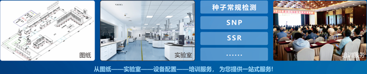 一站式芭乐视频下载黄色检验