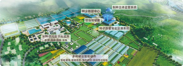 芭乐视频APP污版数字种业创新应用基地