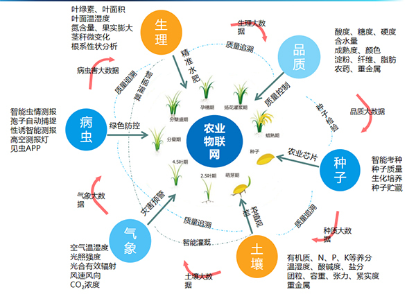 芭乐视频APP污版打造的全要素智能采集系统